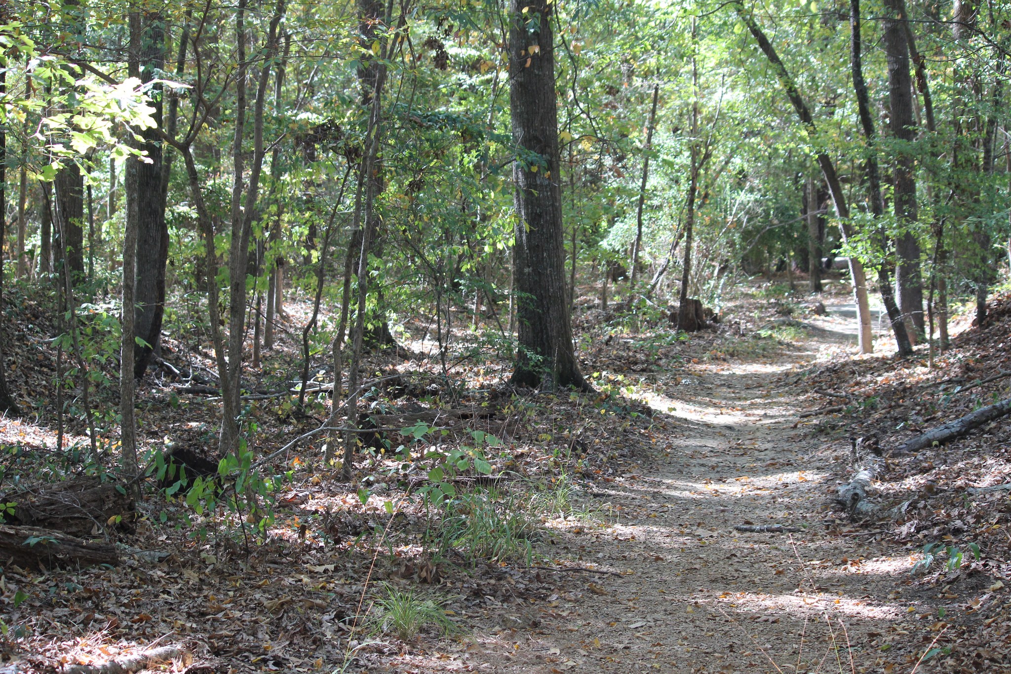 Natchez Trace Parkway Association | Tupelo MS