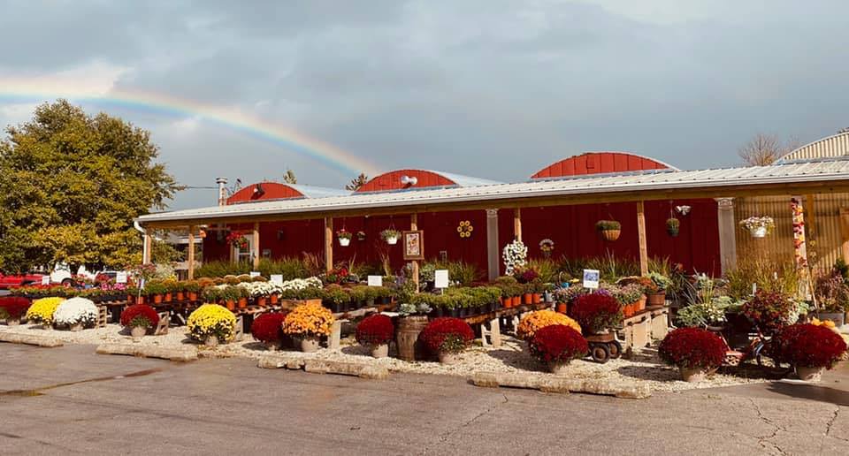 In Bloom Greenhouse | Green Bay WI
