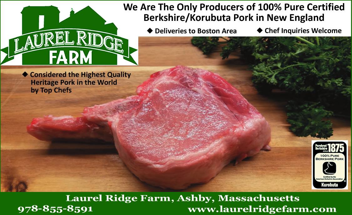 Laurel Ridge Farm | Ashby MA