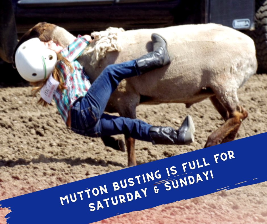 Stonyford Rodeo - The Mutton Busting is FULL for Saturday... | Facebook