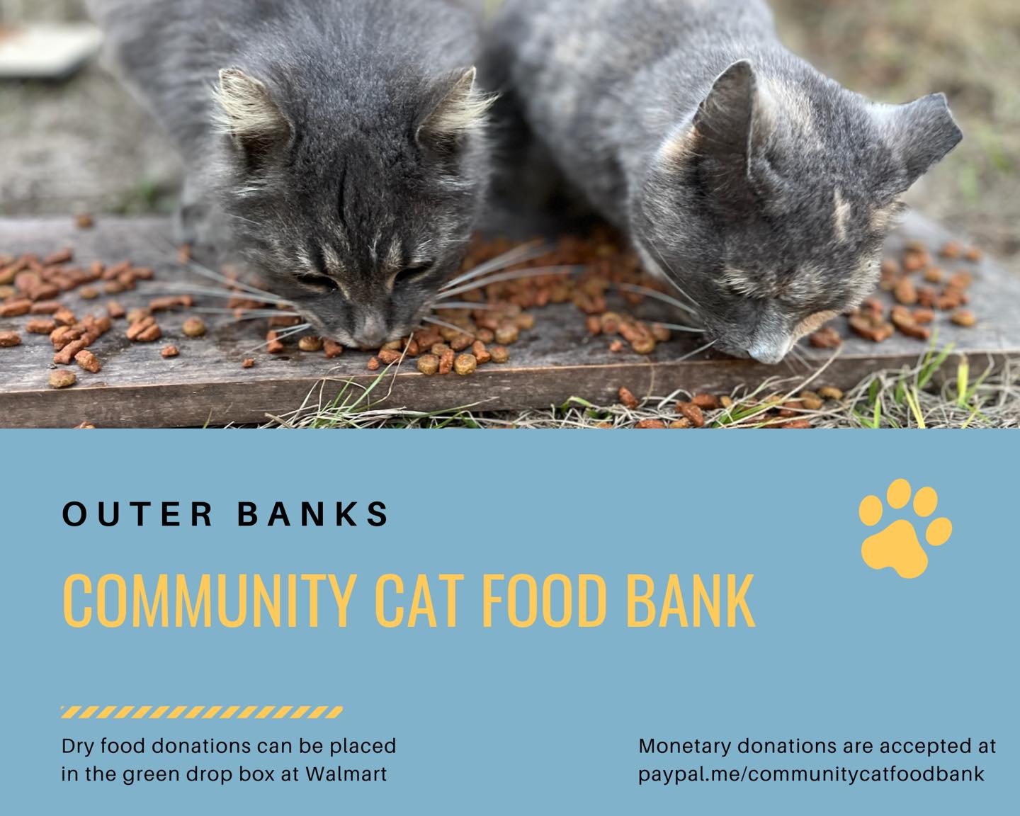 Community Cat Food Bank • CCFB | Kitty Hawk NC