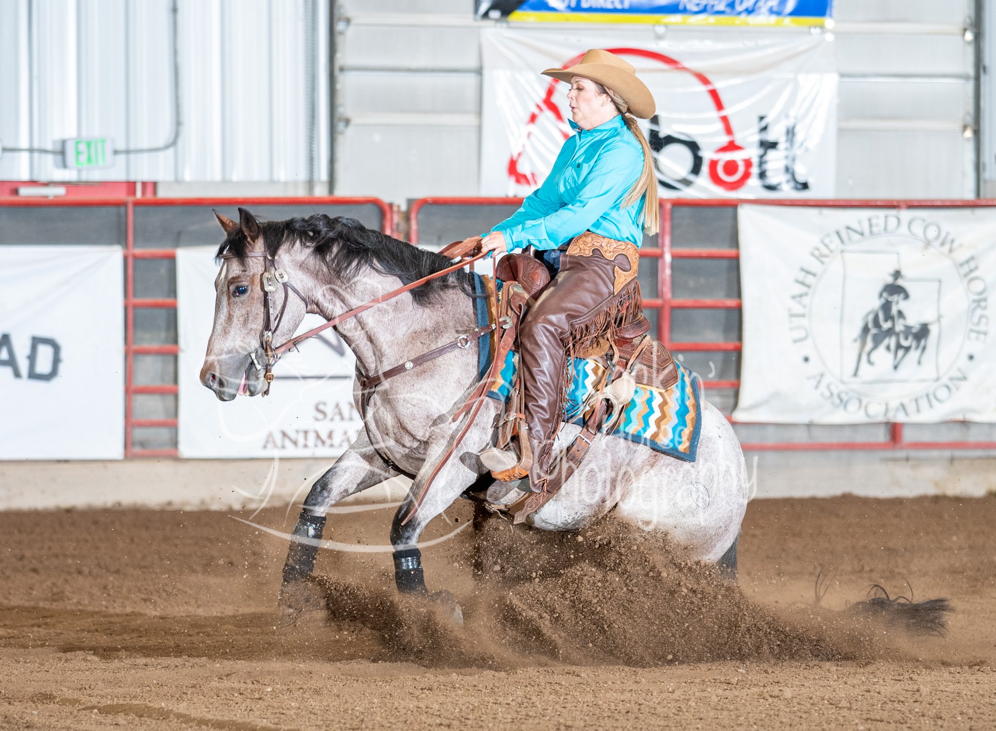 Day 1 of the Utah Reined Cow... - Rockin' Horse Photography