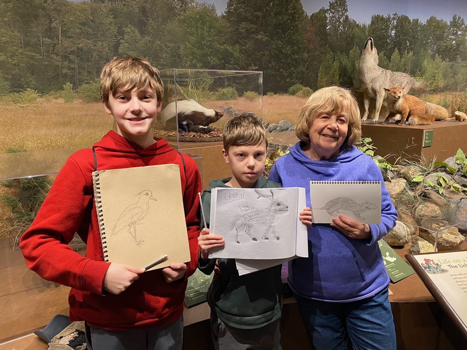 Let's Draw weekend... - Harvard Museum of Natural History | Facebook