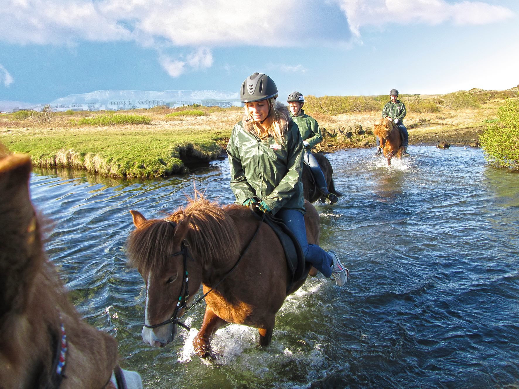 Riding... - Riding Tours in Iceland - Reykjavík Riding Center
