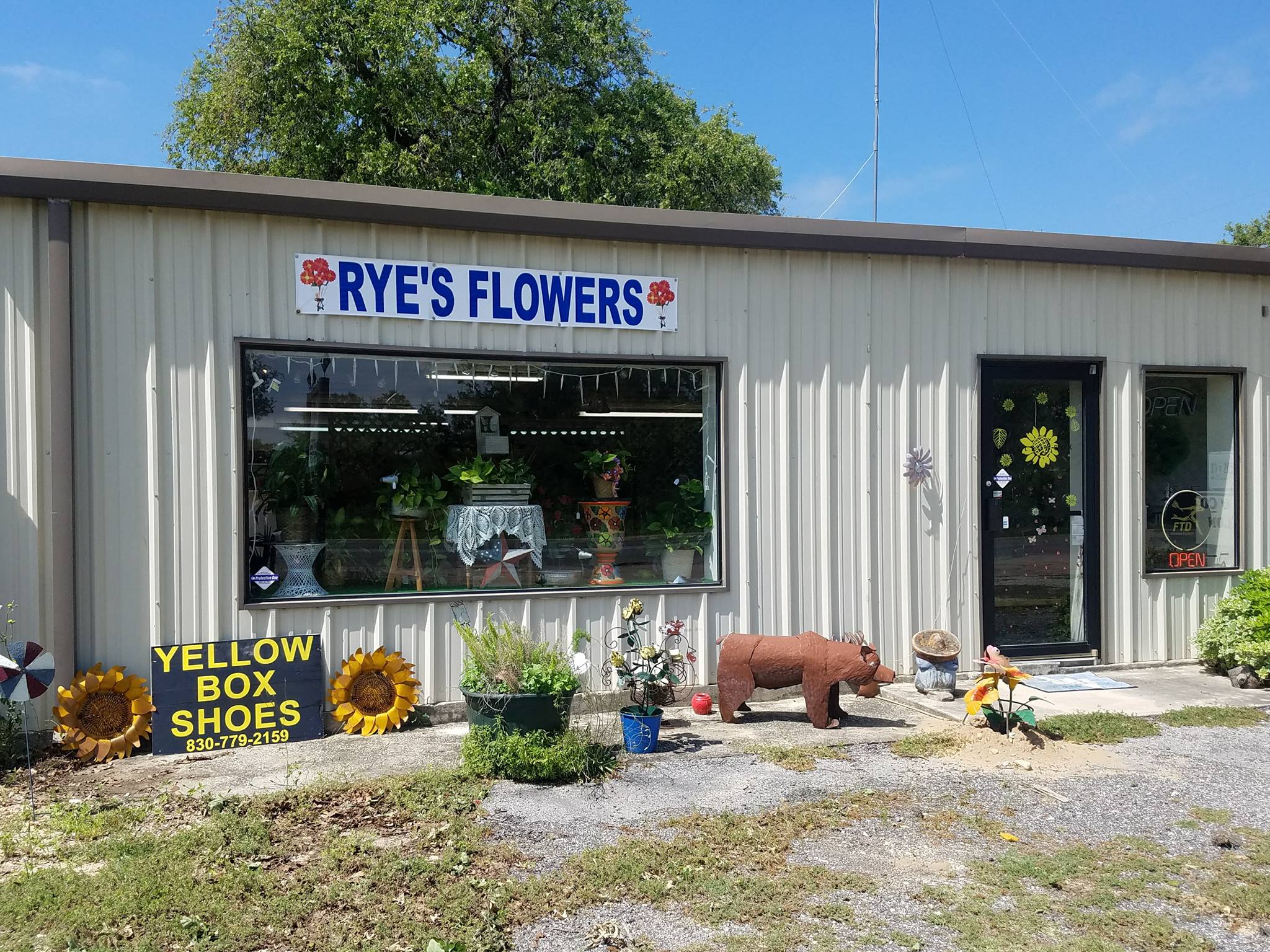 Rye's Flowers & Gifts | La Vernia TX