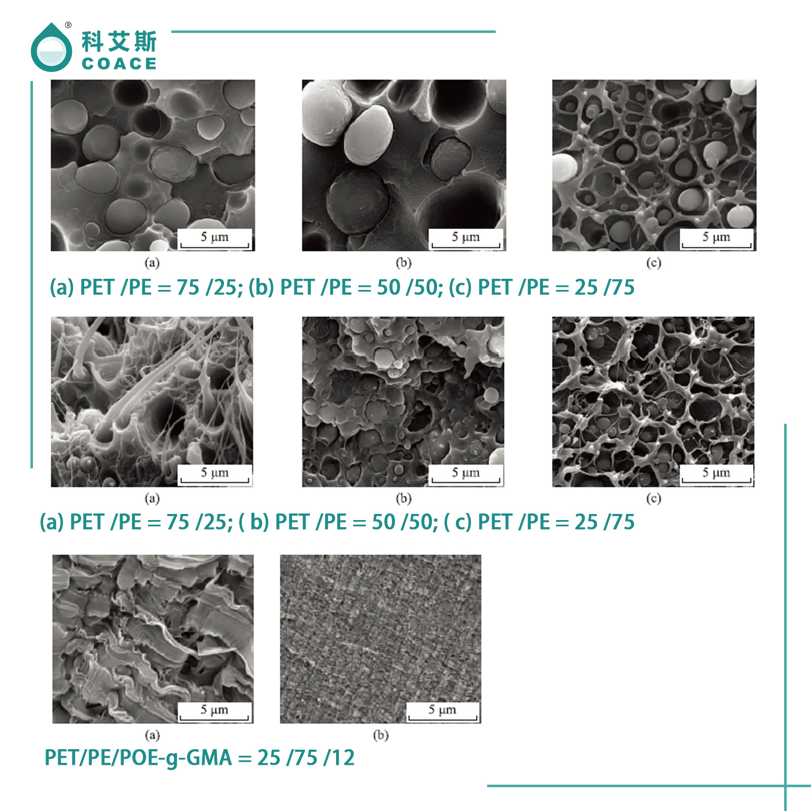 The microstructure of the... - COACE Chemical Company Limited | Facebook