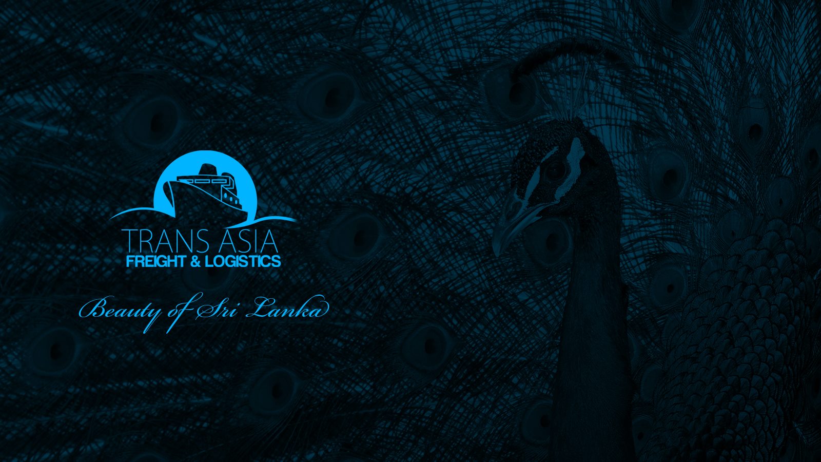 Trans Asia Freight & Logistics | Colombo