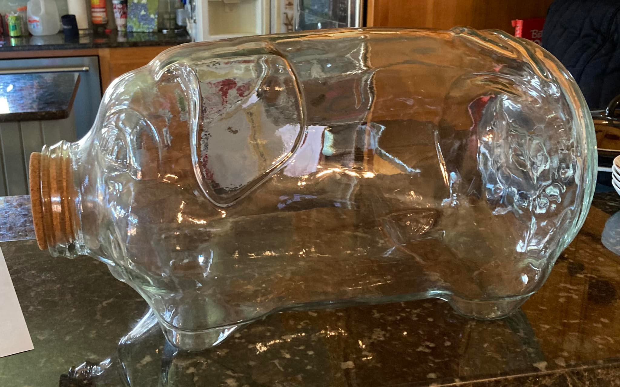 1970s Libbey Glass Piggy Bank Terrarium