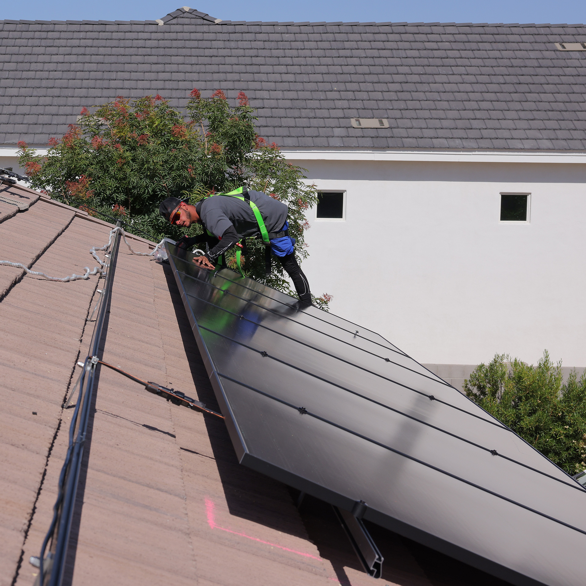 Citrus Solar - We know solar and it's all about the... | Facebook