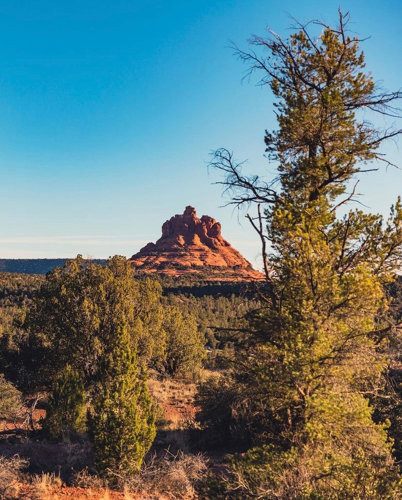 Pink Jeep Tours Sedona Promo Code 2026