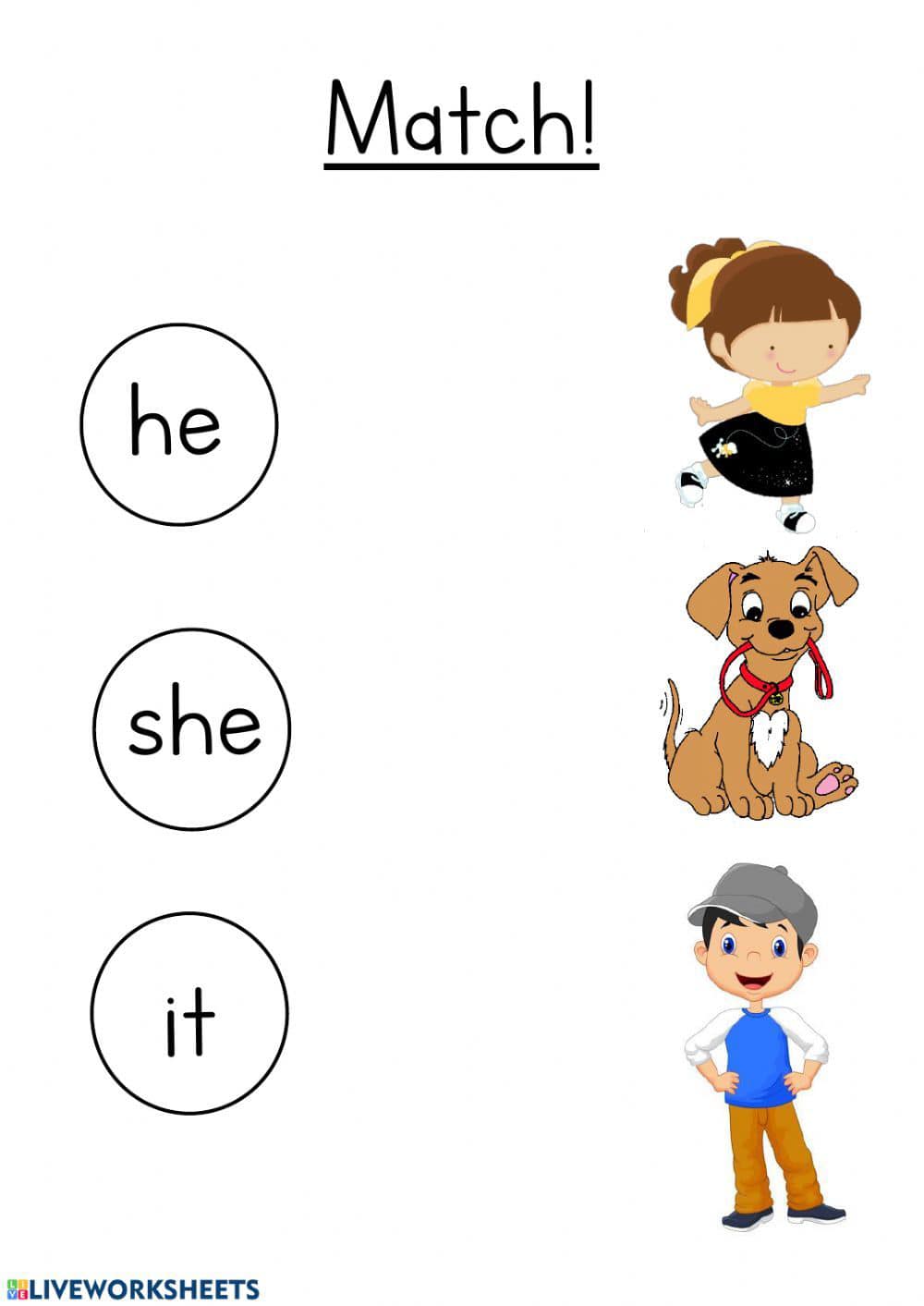 Worksheets for different levels