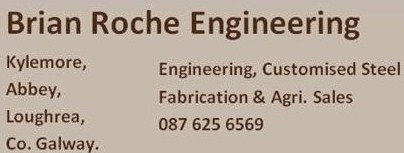 Brian Roche Engineering | Abbey