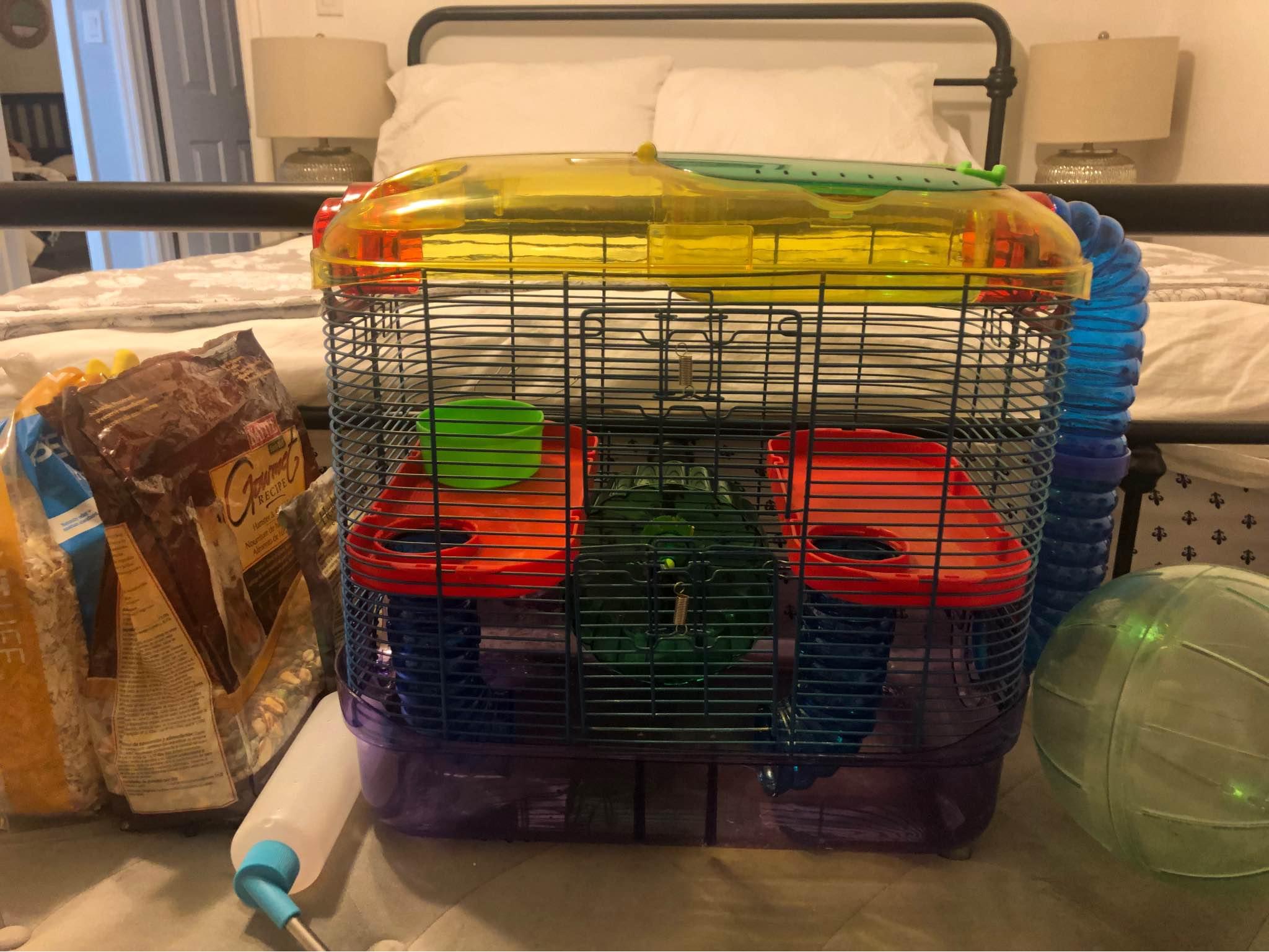 View of Hamster Cages for sale in Tavares, Florida | Facebook Marketplace