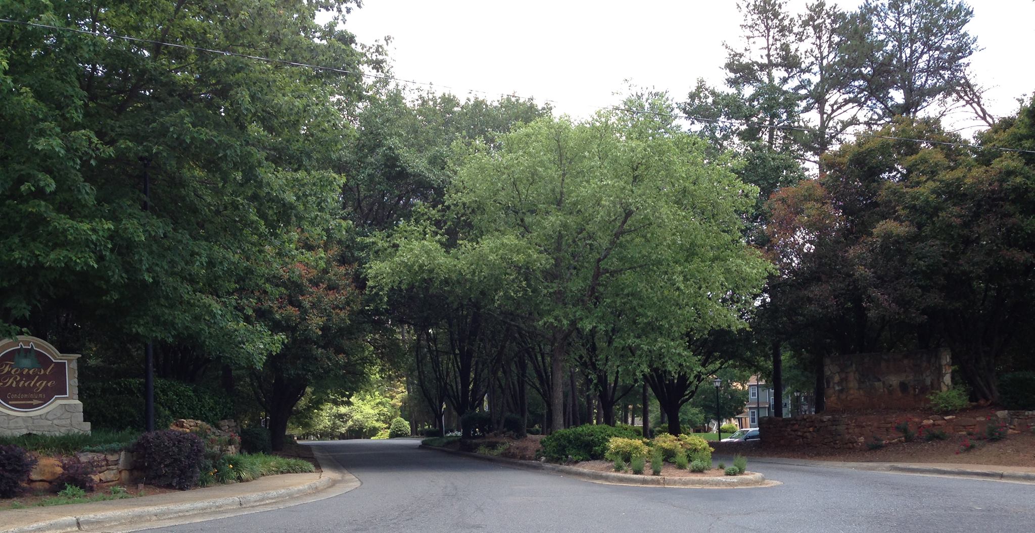 Forest Ridge Condominiums | Charlotte NC