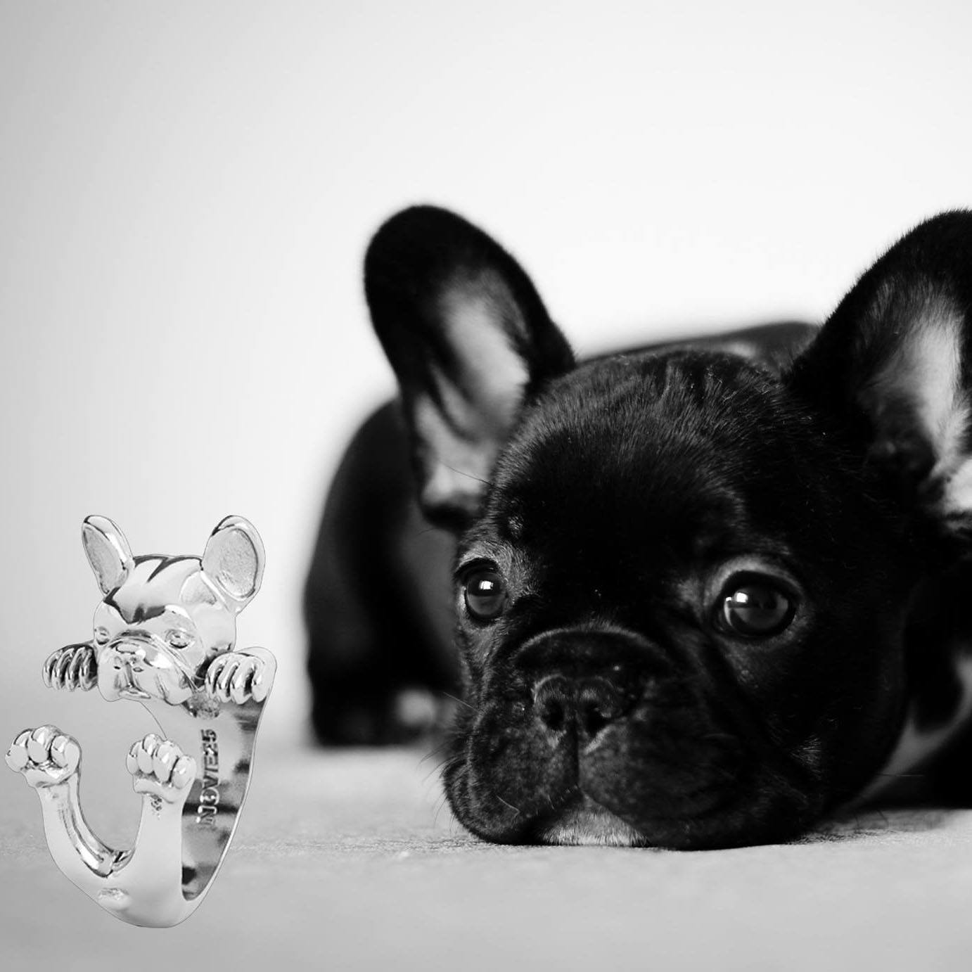 DOG FEVER JAPAN (@dogfeverjapan) • Facebook