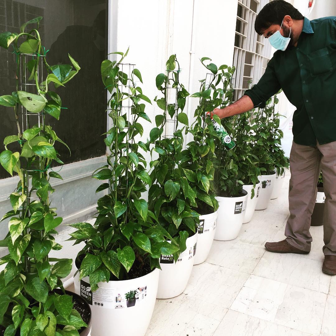 Planters Company | Riyadh