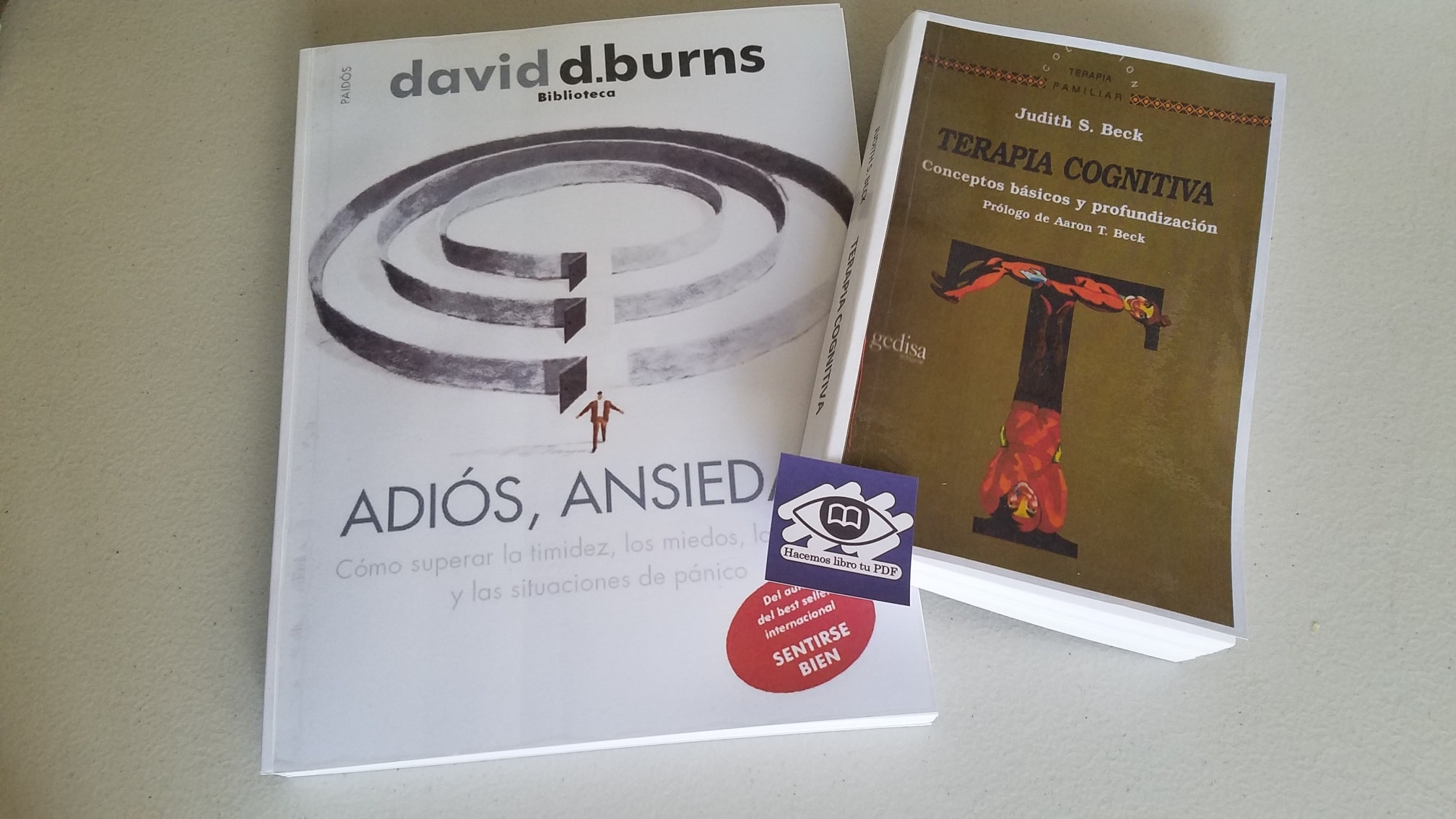 Hacemos libro tu PDF