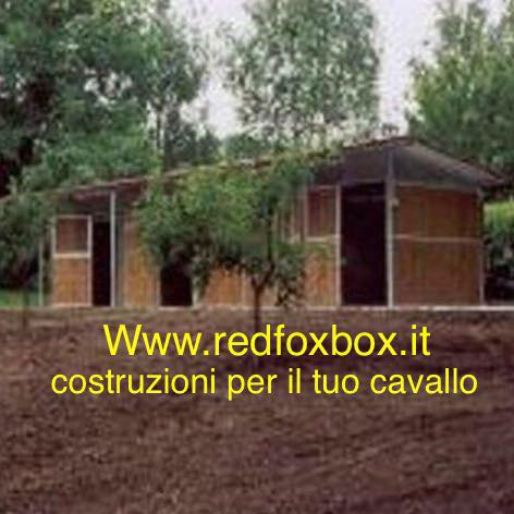 Red Fox Box... - Red Fox Box scuderie e box per cavalli
