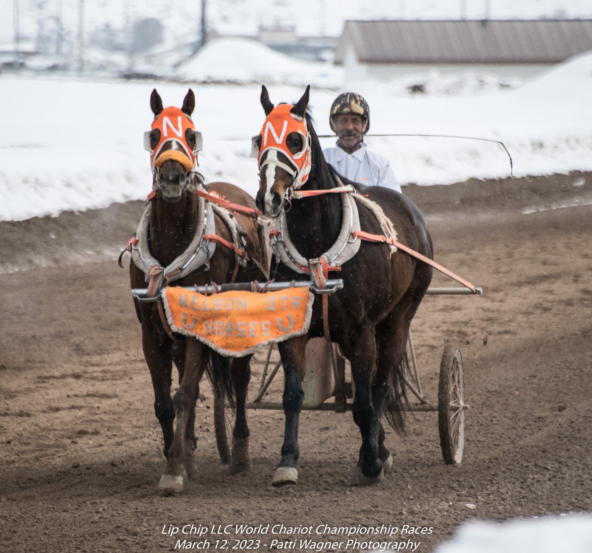 Our fourth... - All American Cutter/Chariot Races - Afton, WY | Facebook