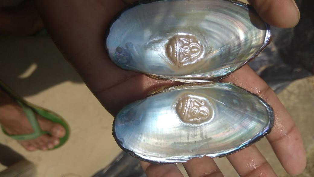 Assam Pearl Development Co-operative Society Ltd. | Nagaon