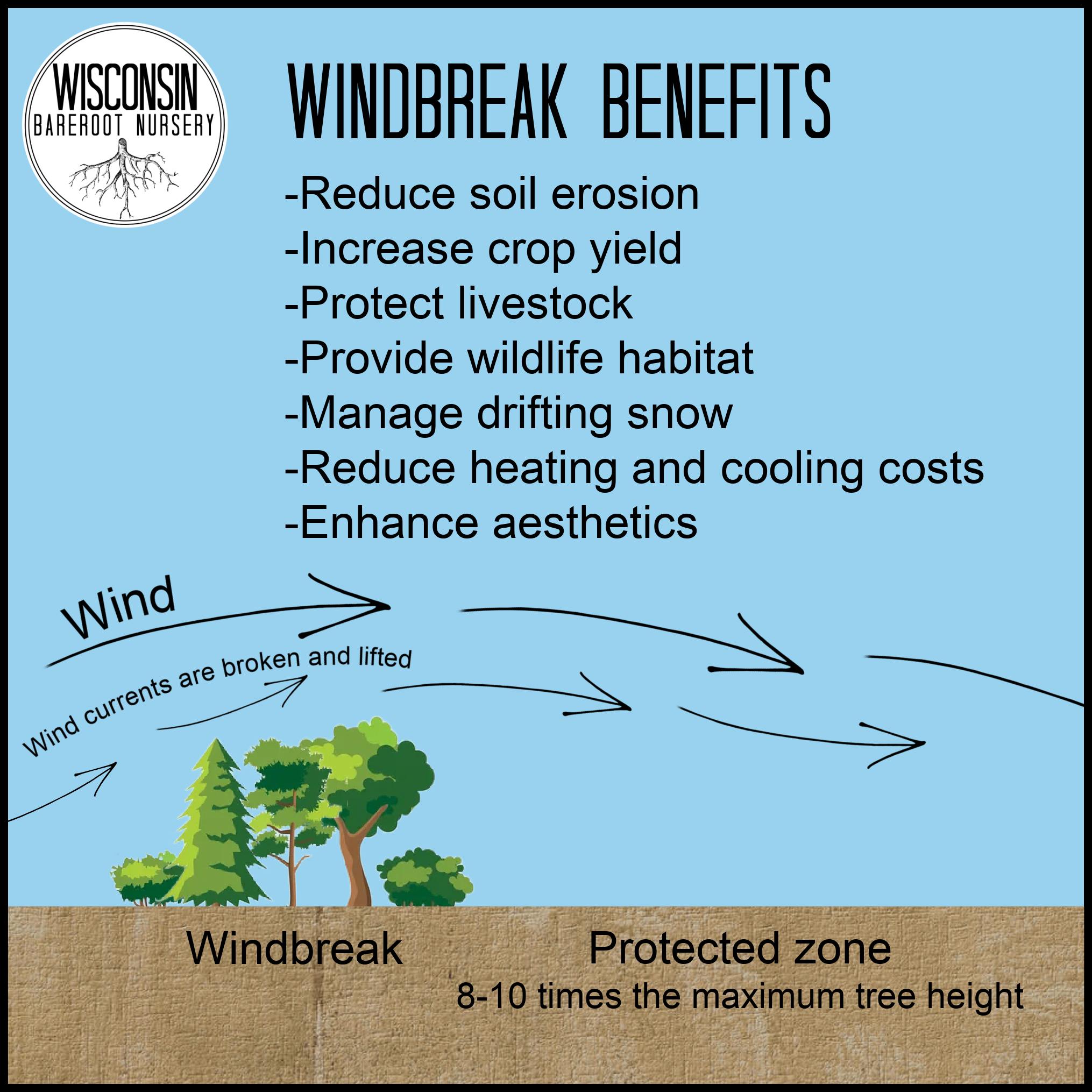 Wisconsin Bareroot Nursery | Markesan WI