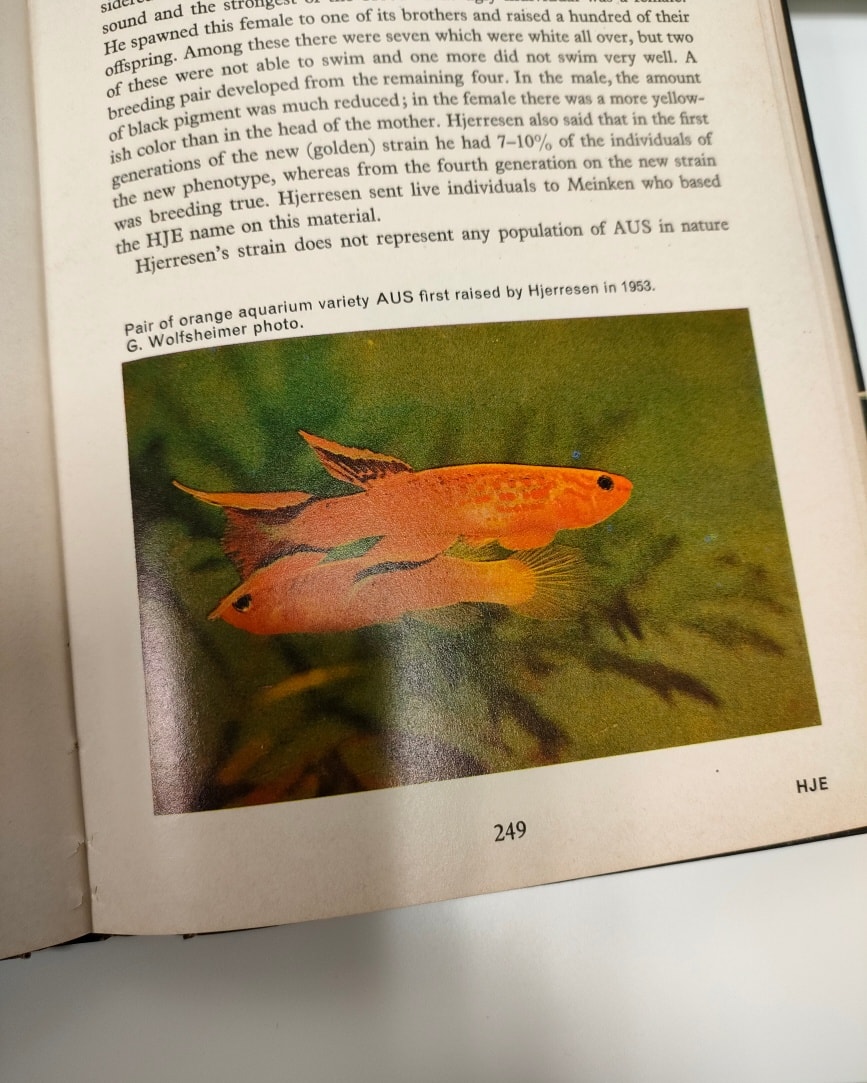 I have an extra copy of Jorgen Scheel's classic killifish' book