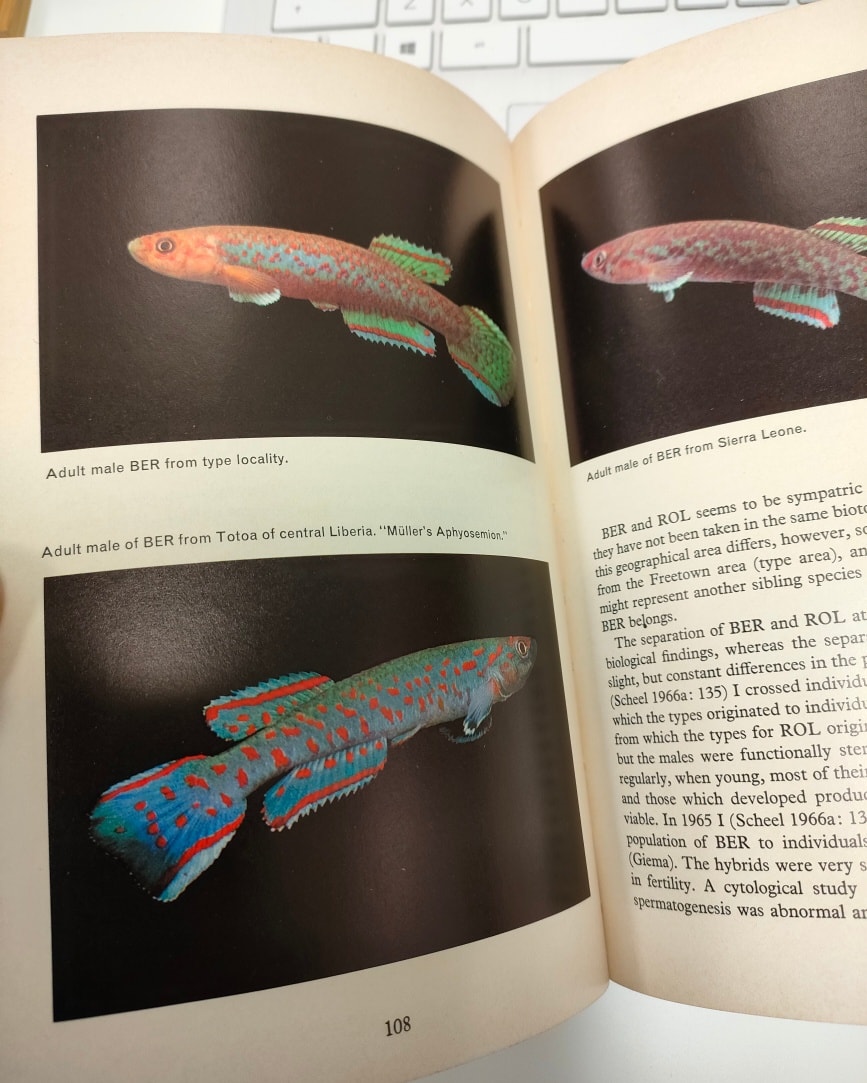 I have an extra copy of Jorgen Scheel's classic killifish' book