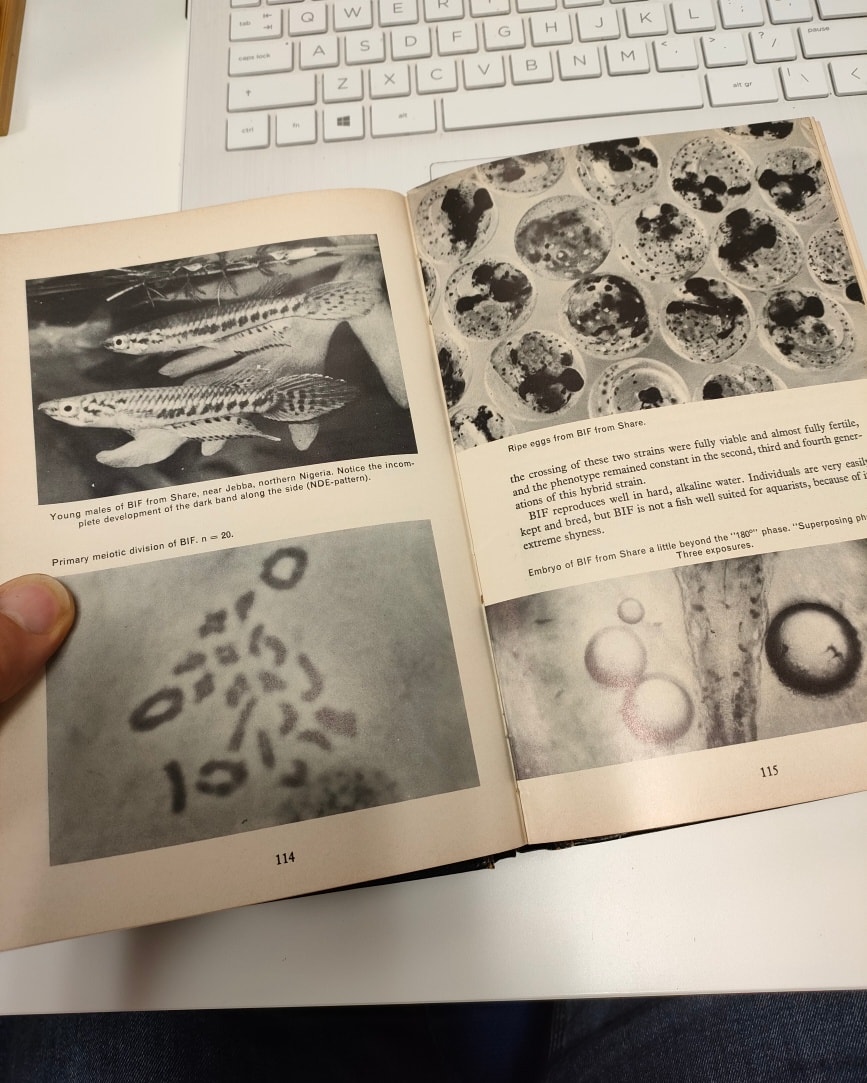 I have an extra copy of Jorgen Scheel's classic killifish' book