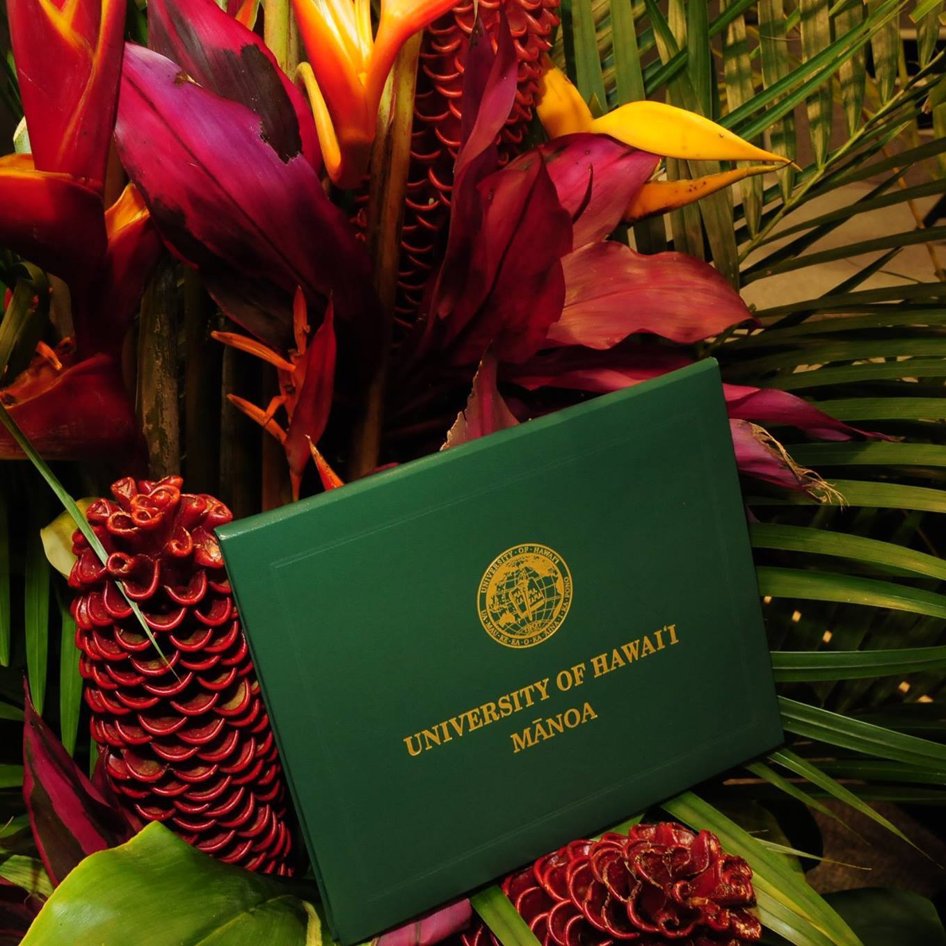 The Spring... - University of Hawaiʻi at Mānoa Commencement | Facebook