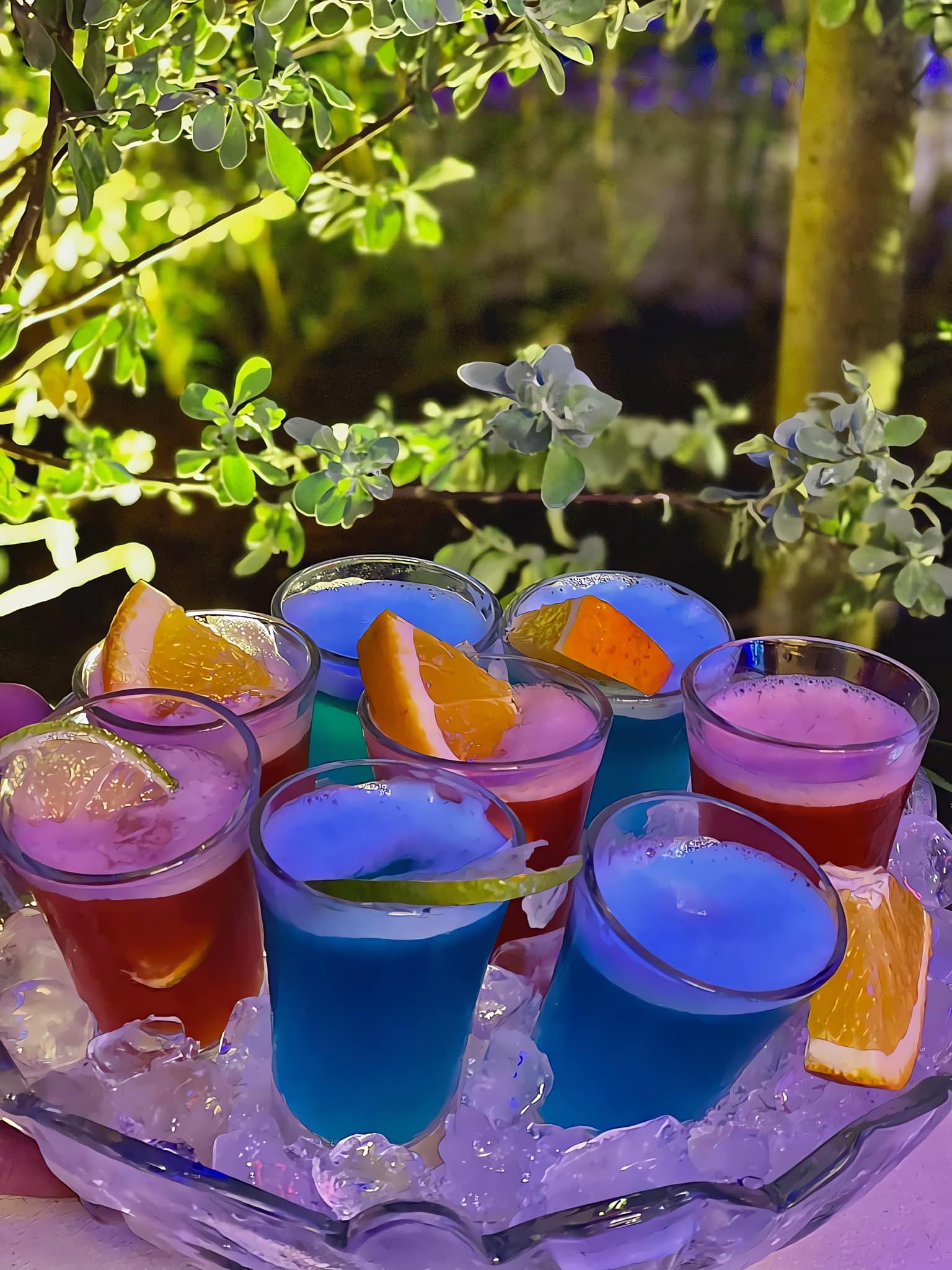 Moonlight Homestay &Rooftop | Vung Tau