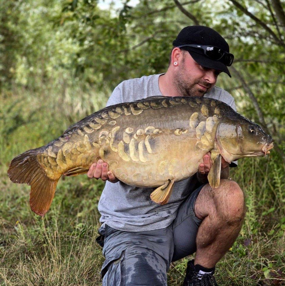 ESP Carpgear - 🔥 Mike Holly’s Slip-D “Go-To” Rig 🔥 Mike... | Facebook