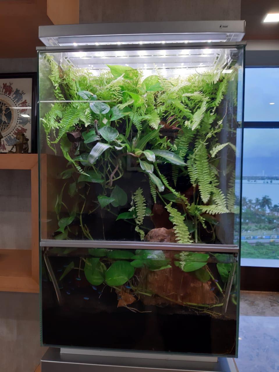 Biopod Smart Microhabitat