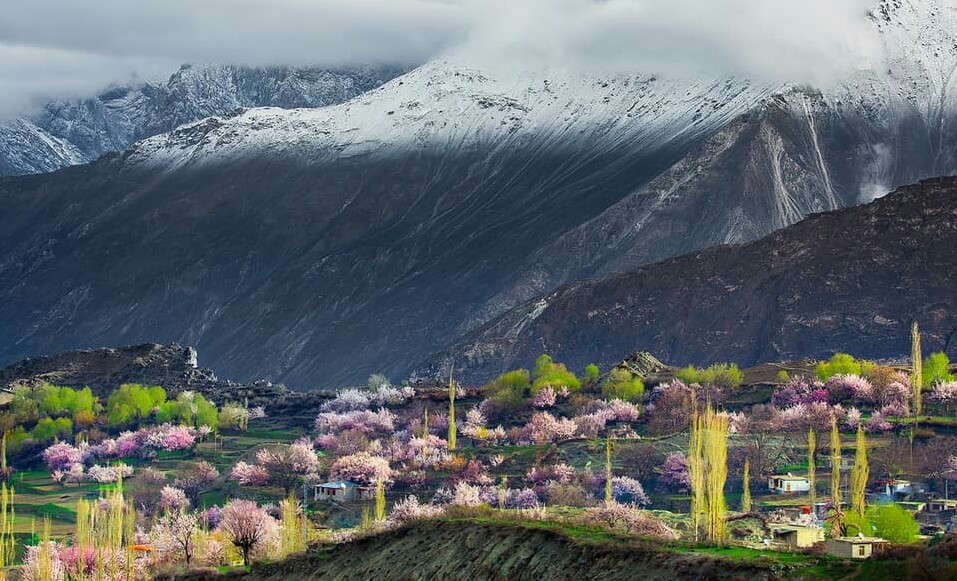 PAK itinerary - Colors of Spring in Hunza Valley,...