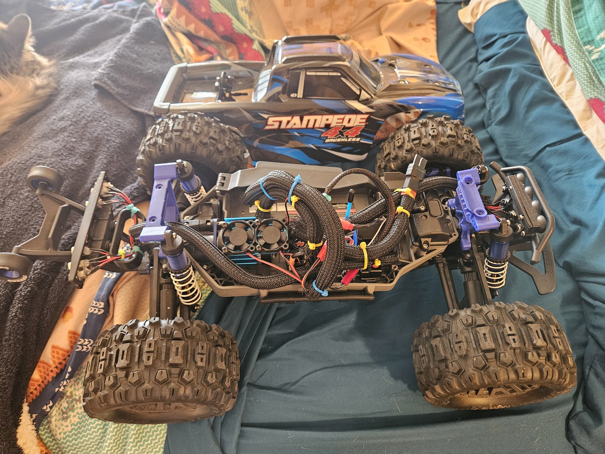 Traxxas Stampede 4x4 BL-2s RTR 67154-4 Bleu