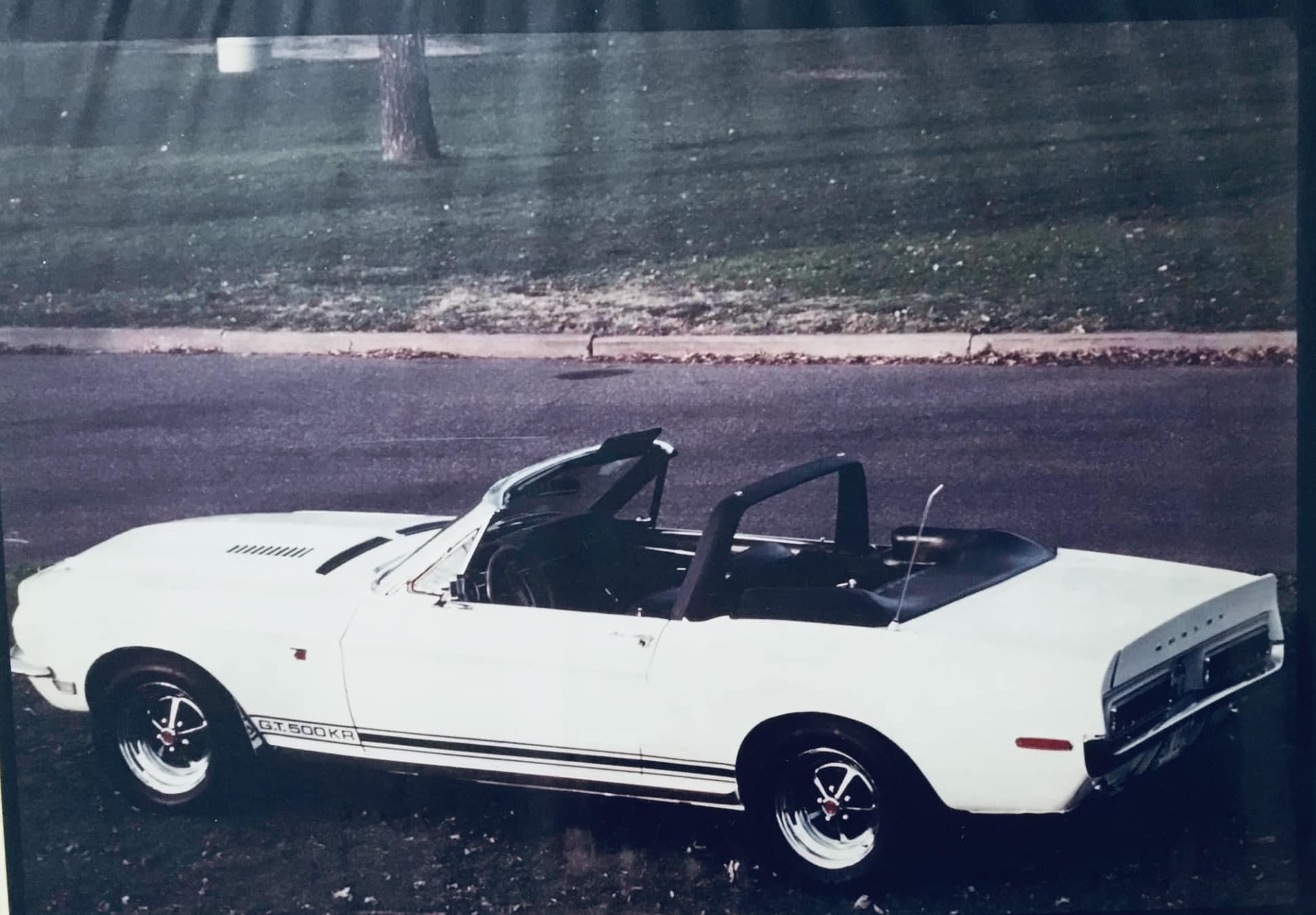 Mustang - Shelly Neuman - “I’m posting this for my husband. He bought ...