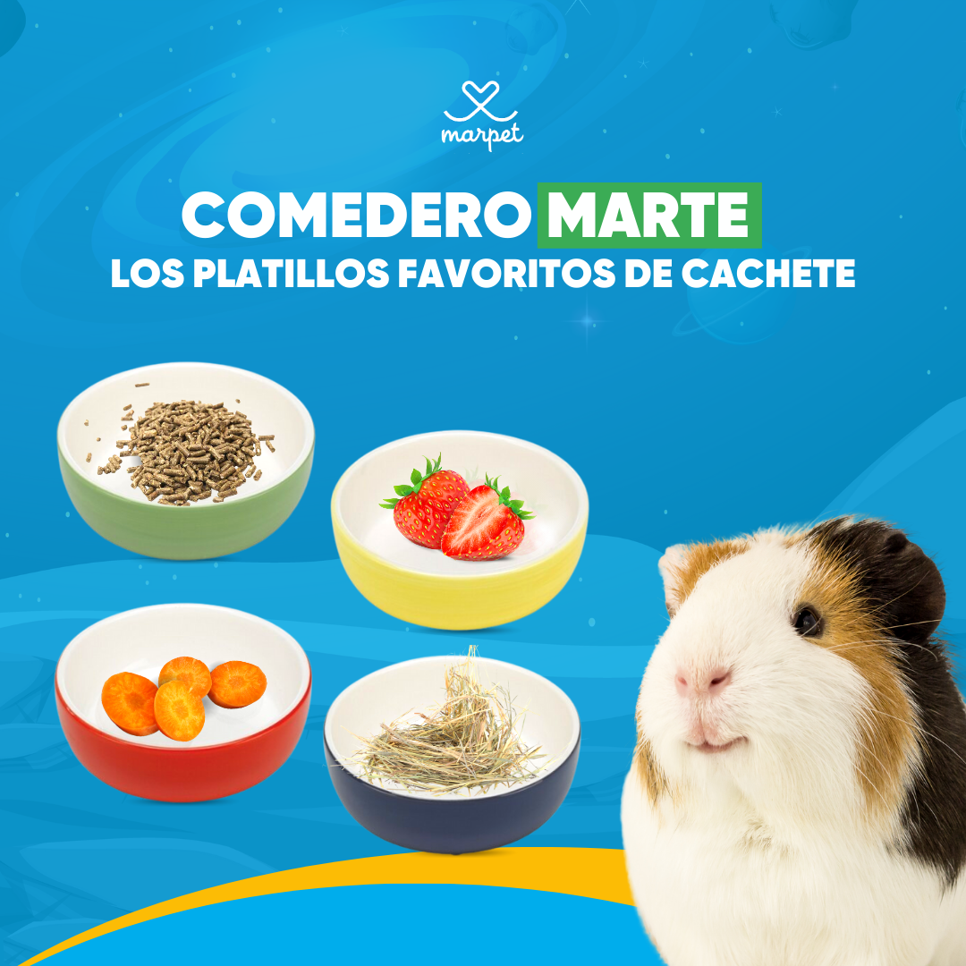 Marpet - 🐹Cachete ama comer y estos son sus platillos... | Facebook