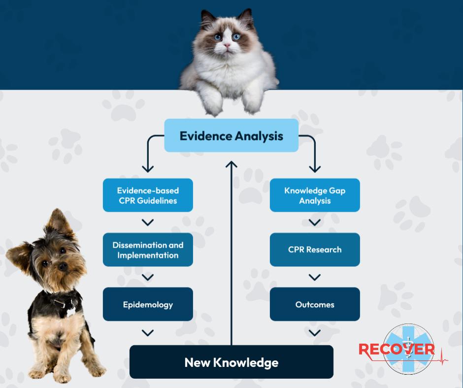 RECOVER - The RECOVER Initiative advances veterinary emergency care ...