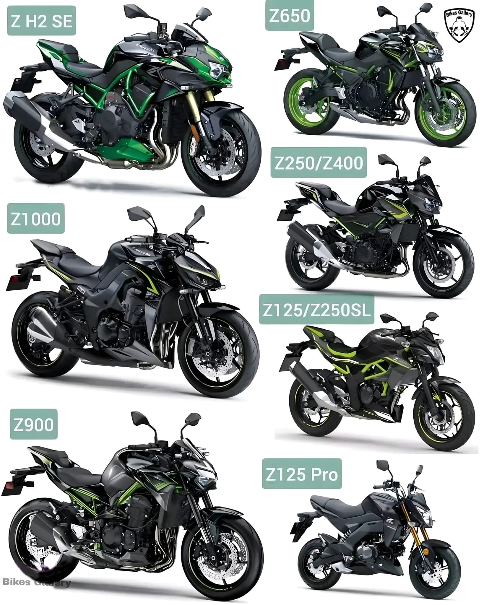 Which Kawasaki Z model is your choice? 🤔💨🚴