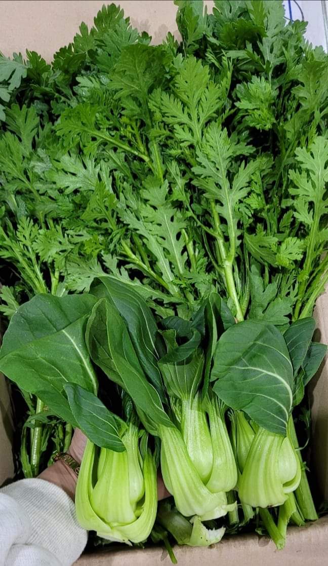 🥦#ผักสดจากสวน เชตA🥬쳥경체 + 숙갓 =... - เกาหลี เนื้อสัตว์ ราคาส่ง | Facebook