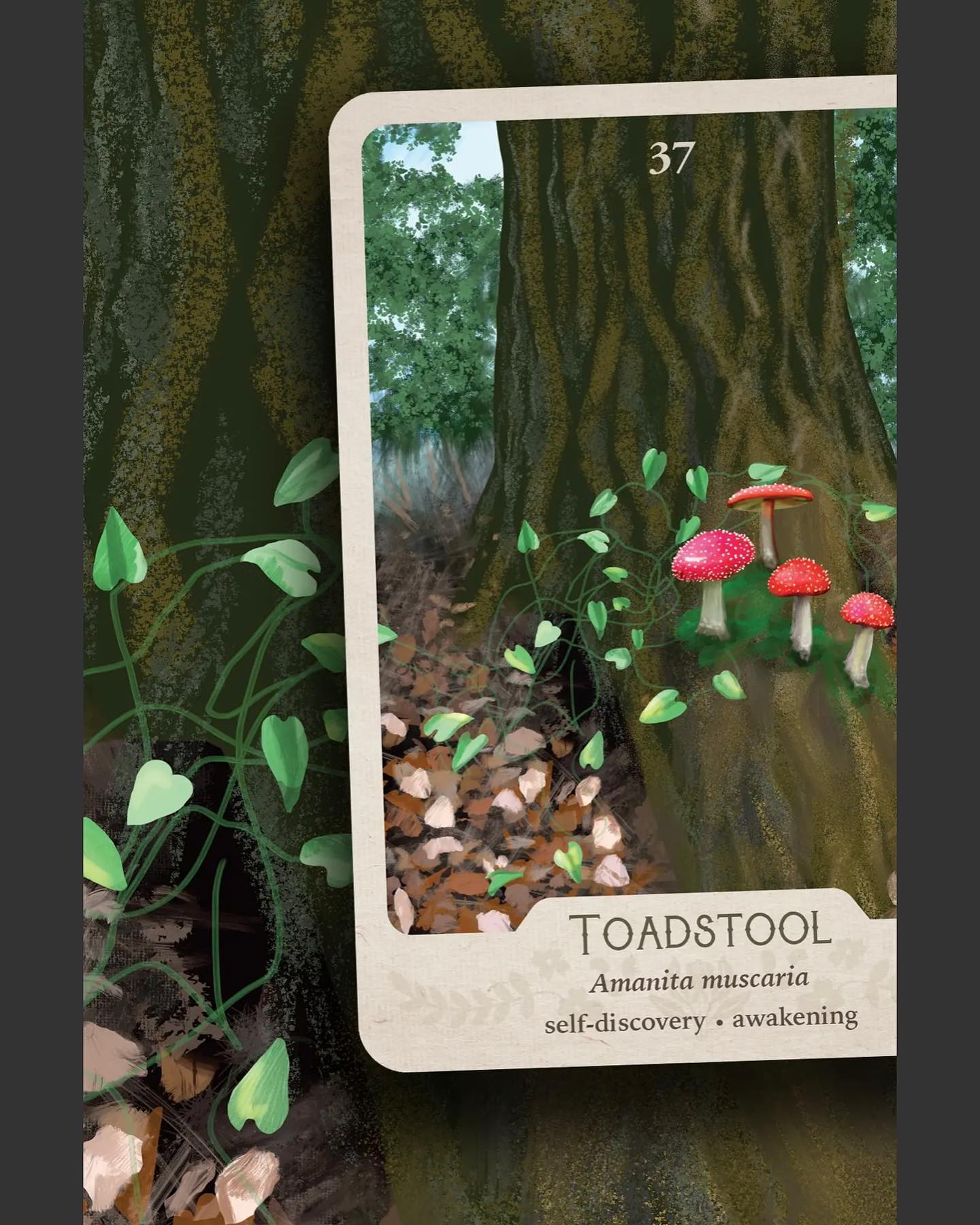 Luvhergurl - The SOUTHERN BOTANICAL ORACLE DECK!!! I JUST...