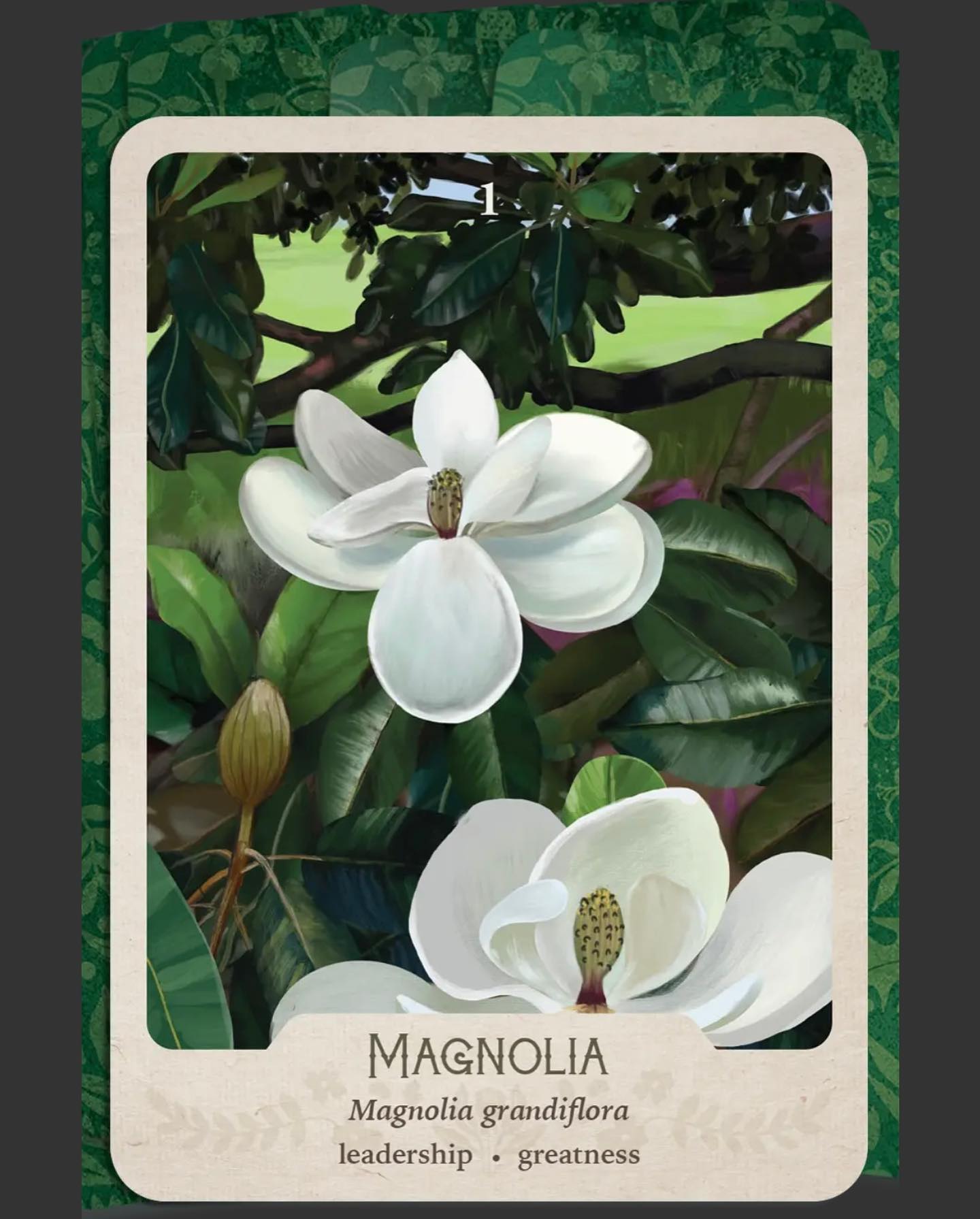 Luvhergurl - The SOUTHERN BOTANICAL ORACLE DECK!!! I JUST...