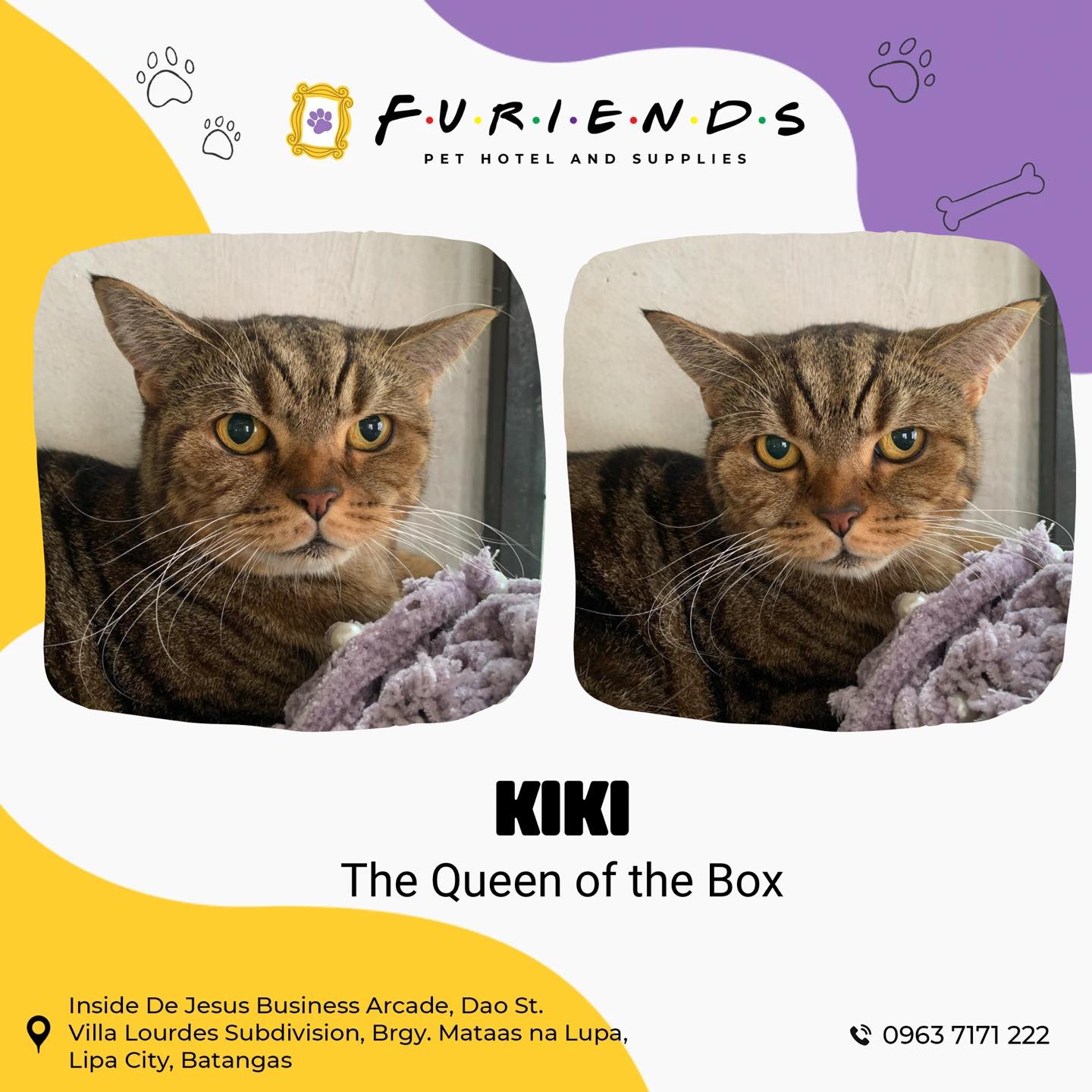 Furiends Pet Hotel & Supplies | Lipa City