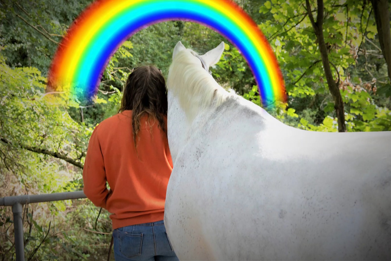 RLS Equine