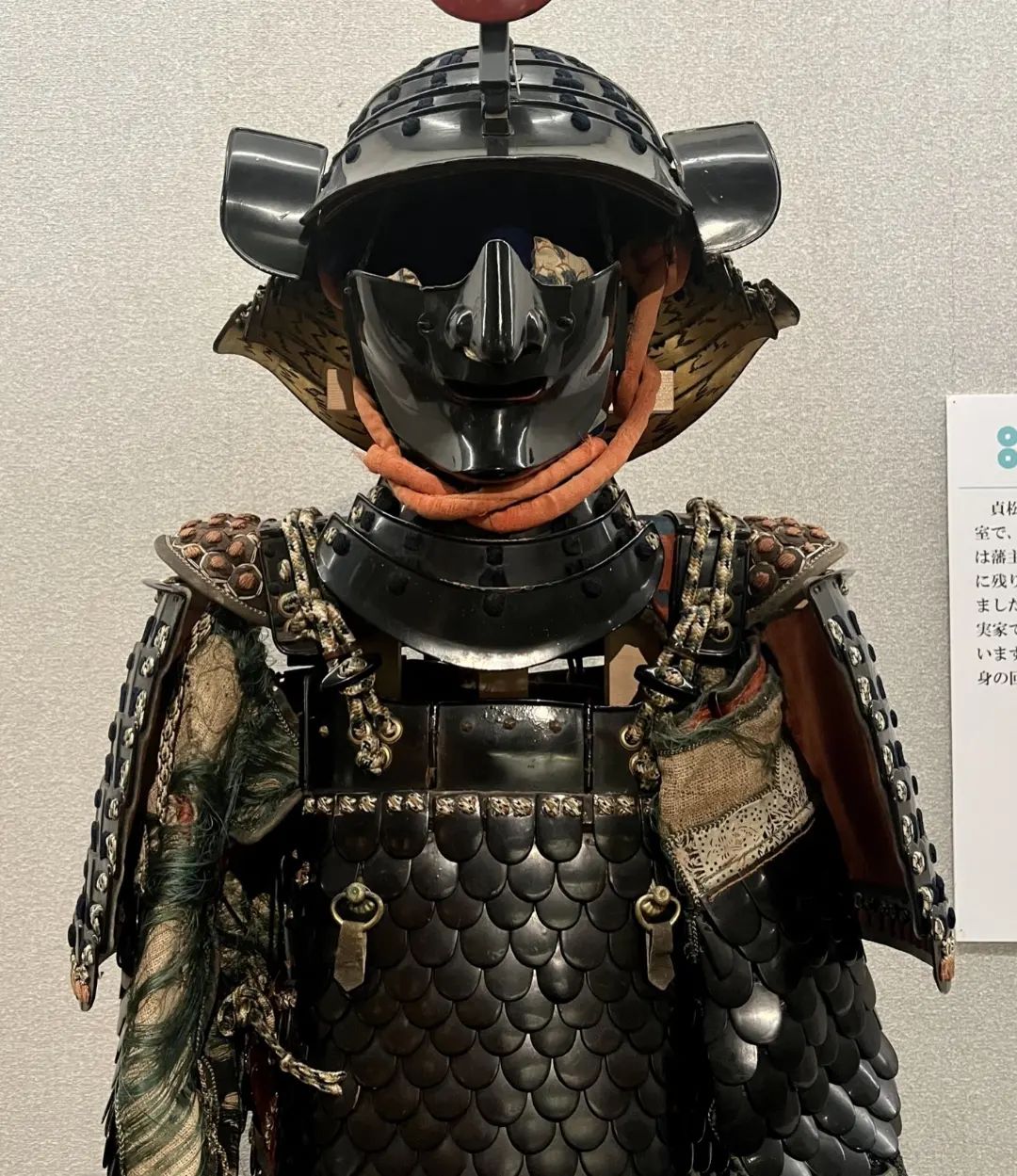 鉄製変わり畳胴 江戸時代 甲冑 侍 武具 鎧 魚鱗畳胴具足・具足櫃」 江戸時代後期。真田宝物館蔵。婚礼道具の中に