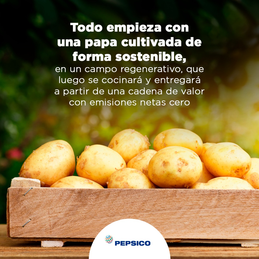 PepsiCo Perú - Estas son las elecciones positivas de Lay's... | Facebook