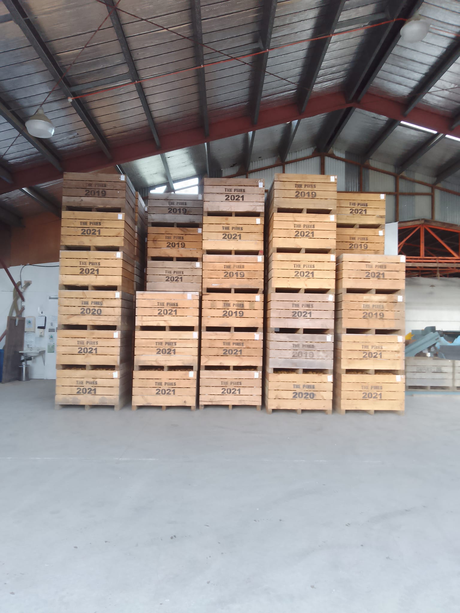 The Pines Orchard | Riwaka