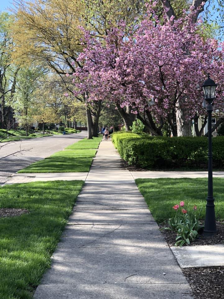 Meridian-Kessler Neighborhood | ISO a landscaper or outdoor handyman to ...