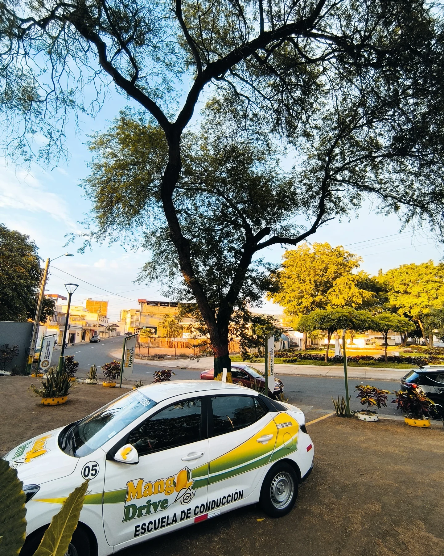 MangoDrive - Un atardecer en MangoDrive 💛🥭💚 Aprende a conducir con los ...