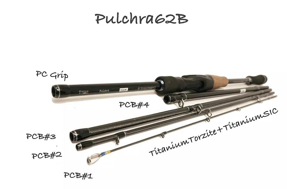フィッシング TRANSCENDENCE・Pulchra62B