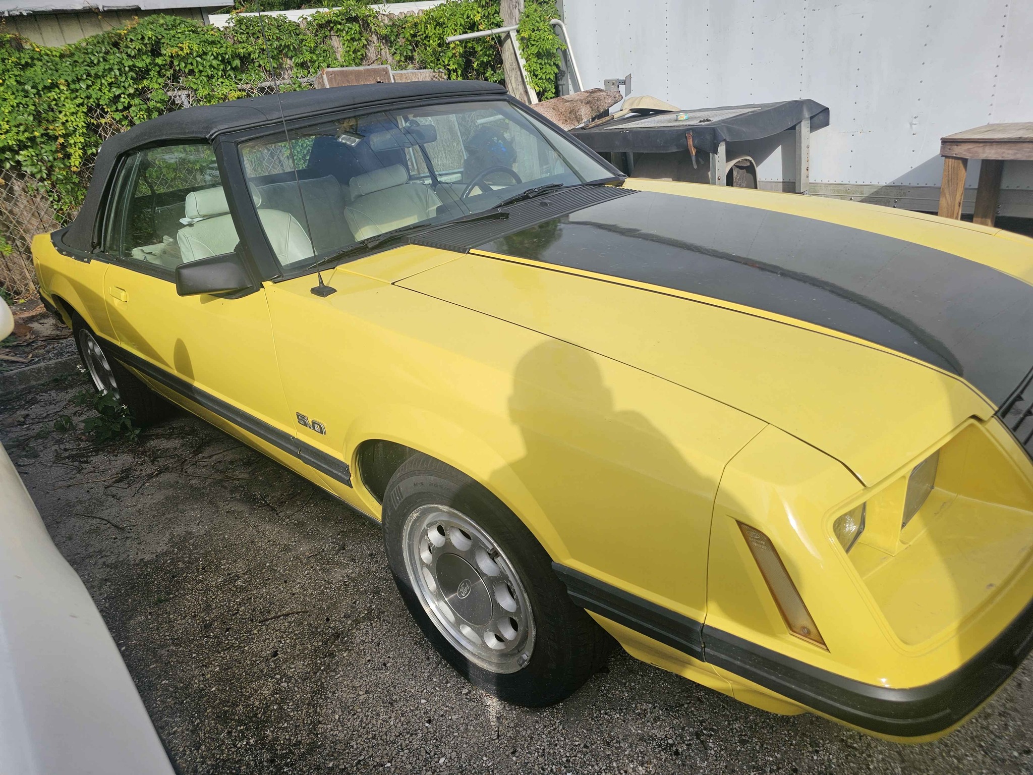 1983 Ford Mustang · Convertible 2D - Cars & Trucks - Haverhill, Florida ...